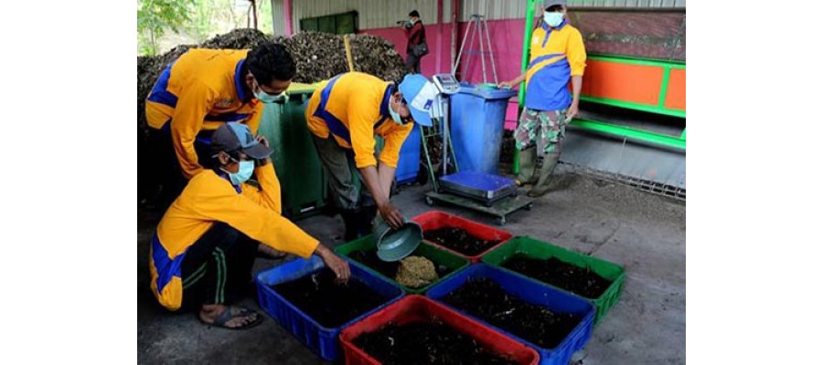 PEMKOT SURABAYA KENALKAN TEKNOLOGI BLACK SOLDIER FLY (BSF) UNTUK ATASI LIMBAH RUMAH TANGGA