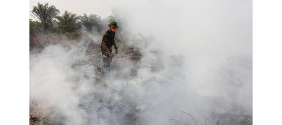 Tangani Karhutla, BPPT Maksimalkan Upaya Pembuatan Hujan Buatan